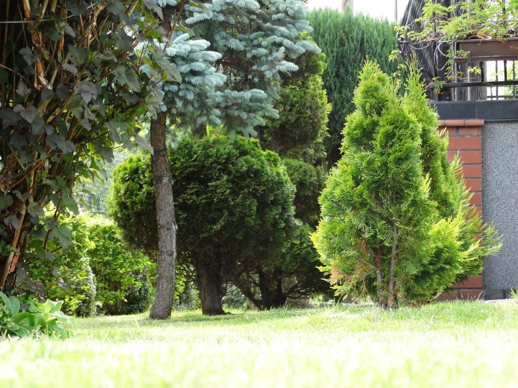 Dom U Artura Apartment Wladyslawowo Bagian luar foto